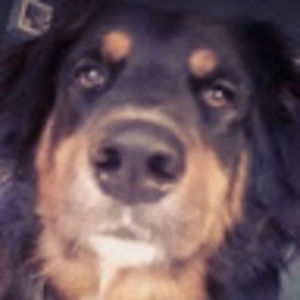 Meet your Posher, Ali